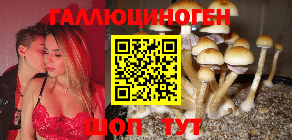 Галлюциногенные грибы MAGIC MUSHROOMS Набережные Челны
