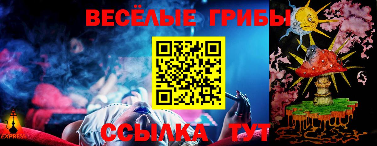 Набережные Челны  Псилоцибиновые грибы Psilocybine cubensis  Вход с VPN 